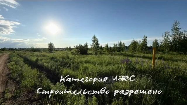 12888517 смотреть онлайн