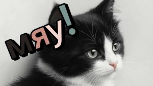 Пушистая фантазия: коты, кошки и котята