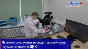 Петербургские ученые проводят эксперименты по редактированию ДНК