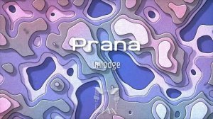 Unlodge - Prana #organic_house