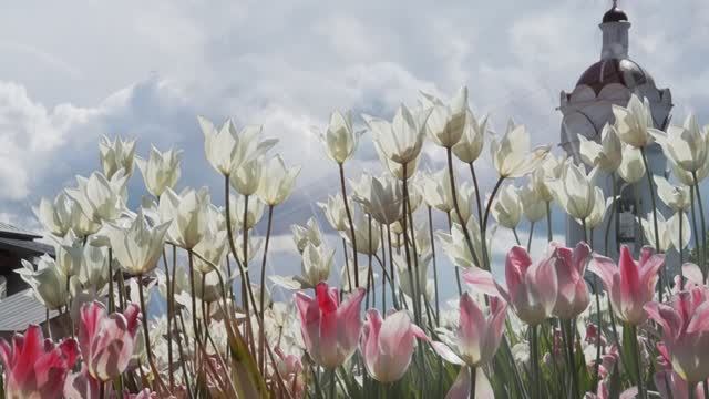 "Выходной", Ирина Брагина, гитара