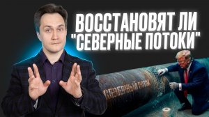 Перезапустят ли немецкие оппозиционеры «Северные потоки» под управлением американцев