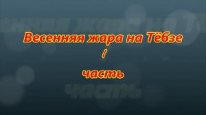 ВЕСЕННЯЯ ЖАРА НА ТЁБЗЕ. 1 часть