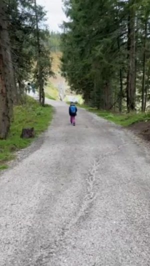 по горным дорогам