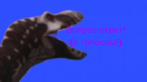 Вопрос-ответ (видео с голосом!)