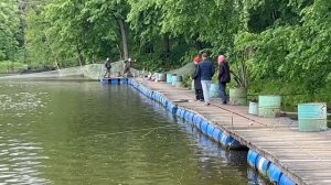 29.05.26 г. РК Волна.