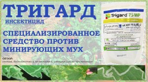 Тригард – уникальное зарубежное средство от минирующих мух и личинок двукрылых. Обзор инсектицида