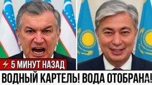 Скандал в Евразии Мирзиёев и Токаев создали закрытый пул и забрали под контроль ВСЮ ВОДУ
