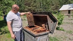 МОЙ ПЧЕЛИНЫЙ ПЕРЕВОРОТ МОЯ РАБОТА НА ПАСЕКЕ