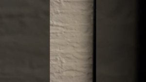17235821857375