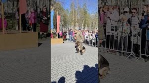 Празднование Дня Пограничника. г.Ковдор 29-05-2026