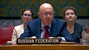 Right of Reply by Vassily Nebenzia at UNSC Briefing on Ukraine
