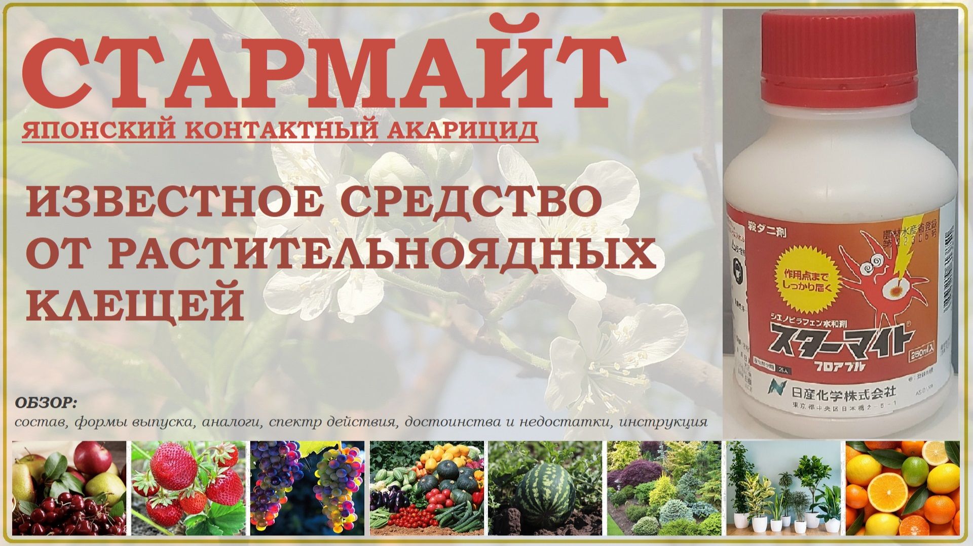 Стармайт - известное японское средство от растительноядных клещей. Обзор контактного акарицида