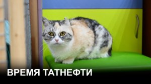 Время Татнефти 27.05.2026
