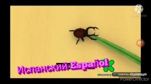 Барбоскины заставка на разных языках