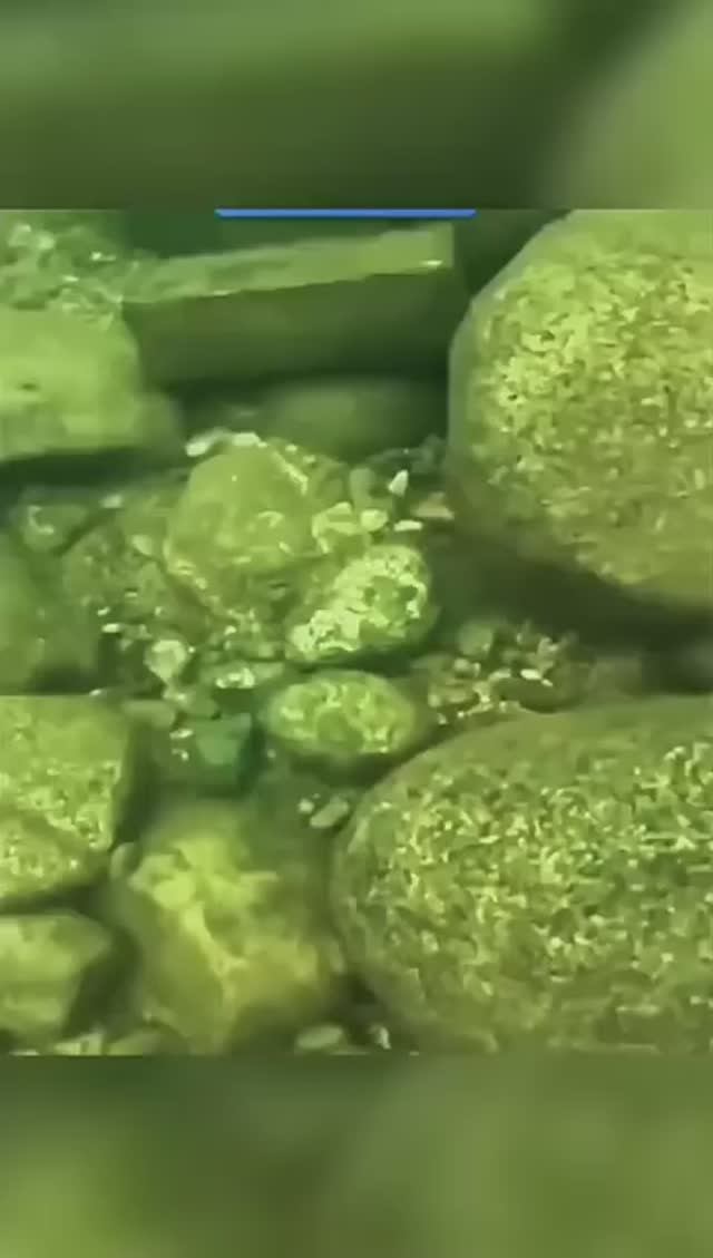 Дайвер нашел коран