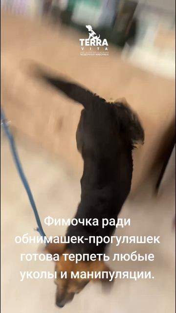 Фимочка вас ждёт!
