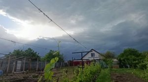 ЧУТЬ НЕ ПРИБИЛ. И СНОВА УТЯТА. Дождь мешает.