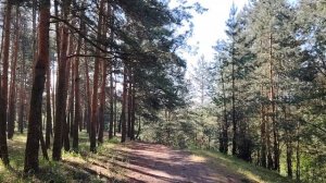 «ИИ в работе по найму в организации». Взаимная подписка приветствуется