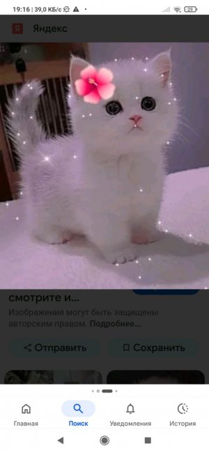 Ненавижу мир