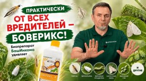Вредители атакуют? Боверикс поражает личинок всех насекомых-вредителей