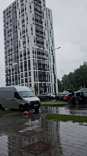В Москве  погода не  радует...