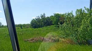 влог поездка в детский лагерь 🏕️ местные красоты