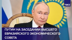 Путин на заседании Высшего Евразийского экономического совета