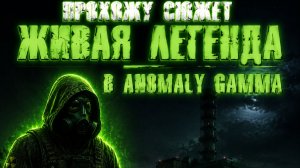 Прохожу сюжет живая легенда в anomaly gamma #3