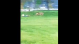 ПОДБОРКА ПРИКОЛОВ