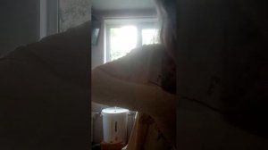 готовим сырные шарики