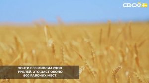 В 2026 году на Ставрополье реализуют 15 аграрных инвестпроектов на сумму почти в 18 млрд рублей