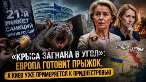 Фон дер Ляйен сняла маску: Евросоюз официально объявил войну россиянам, а не России