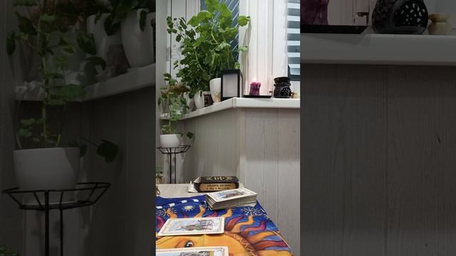Карта дня смотреть онлайн