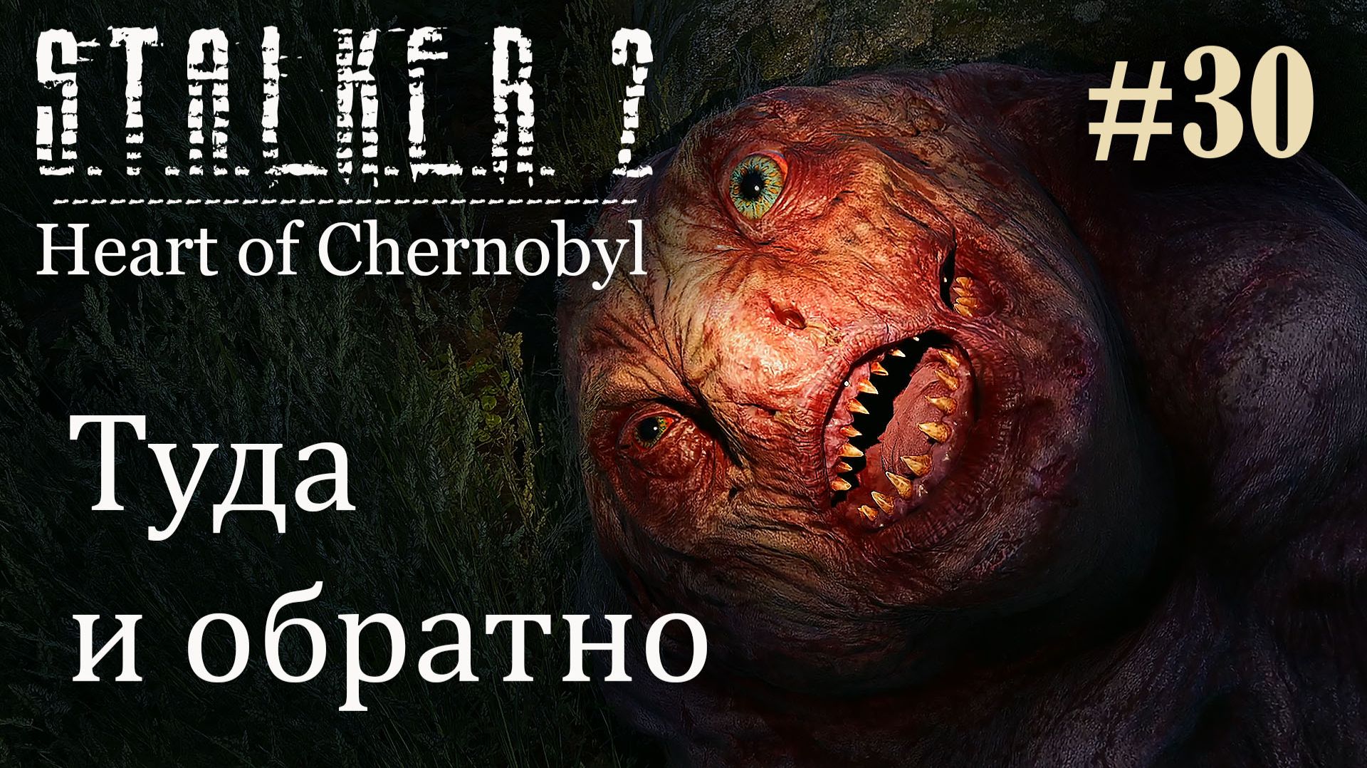 Туда и обратно. S.T.A.L.K.E.R. 2 Heart of Chernobyl #30 Прохождение Patch 1.9