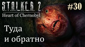 Туда и обратно. S.T.A.L.K.E.R. 2 Heart of Chernobyl #30 Прохождение Patch 1.9