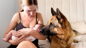 German Shepherd Refuses to Leave Mother with Newborn Baby Alone