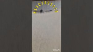 29.05.26.Пуховые платки,косынки,кофты,жилеты,пончо,джемпер,шарфы,гольфы,гетры,носки.