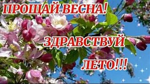 Шепот уходящей весны. Шикарная музыкальная открытка.