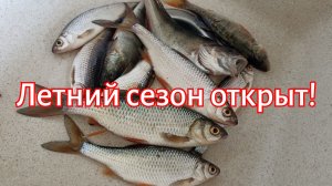 Летний сезон открыт!
