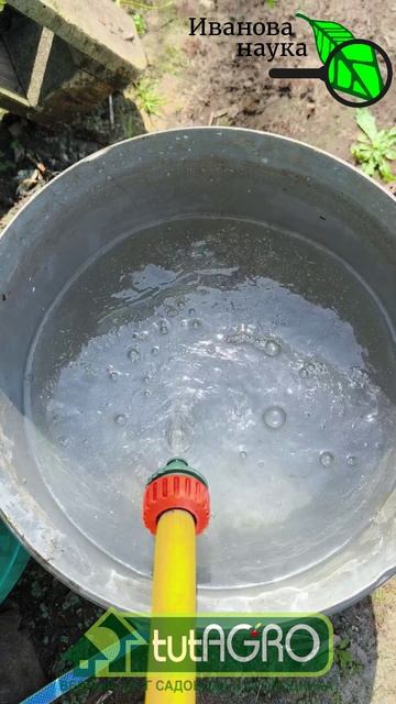 🚀 НИ КАПЛИ УДОБРЕНИЙ, а огурцы прут как бешеные!🥒