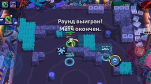 апаю курки на стар нова