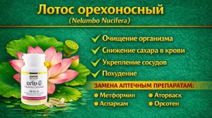 Орехоносный лотос микстура капсулы - Kleeb Bua Daeng