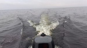 VID_20260529073959