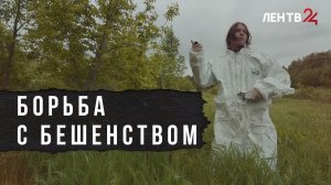 В Ленобласти стартовала весенняя кампания по борьбе с бешенством диких животных