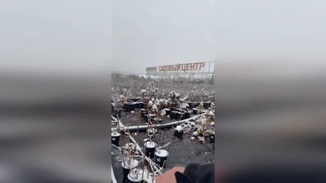 Консервация полива в Садовом центре смотреть онлайн