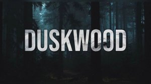 Прохождение «Duskwood». Эпизод 1. Исчезновение Ханны. Знакомство
