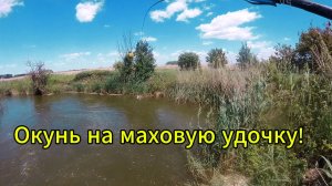 Хотел половить щуку,а наловил окуней на живца,и приготовил вкусное блюдо!