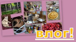 ВЛОГ:  ВЫБИРАШКИ В УХОД, ПЕРЕСТАНОВКА У ПУШИСТИКОВ...
