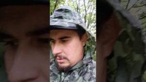 Пошли дожди